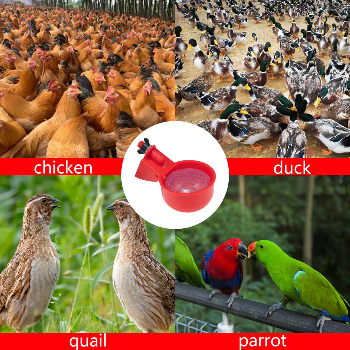 TXZWJZ compatible with chickens, ducks, geese, and turkeys for versatile hydration