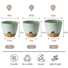 TYMENSH 9-inch compact pot suitable for small spaces and moss