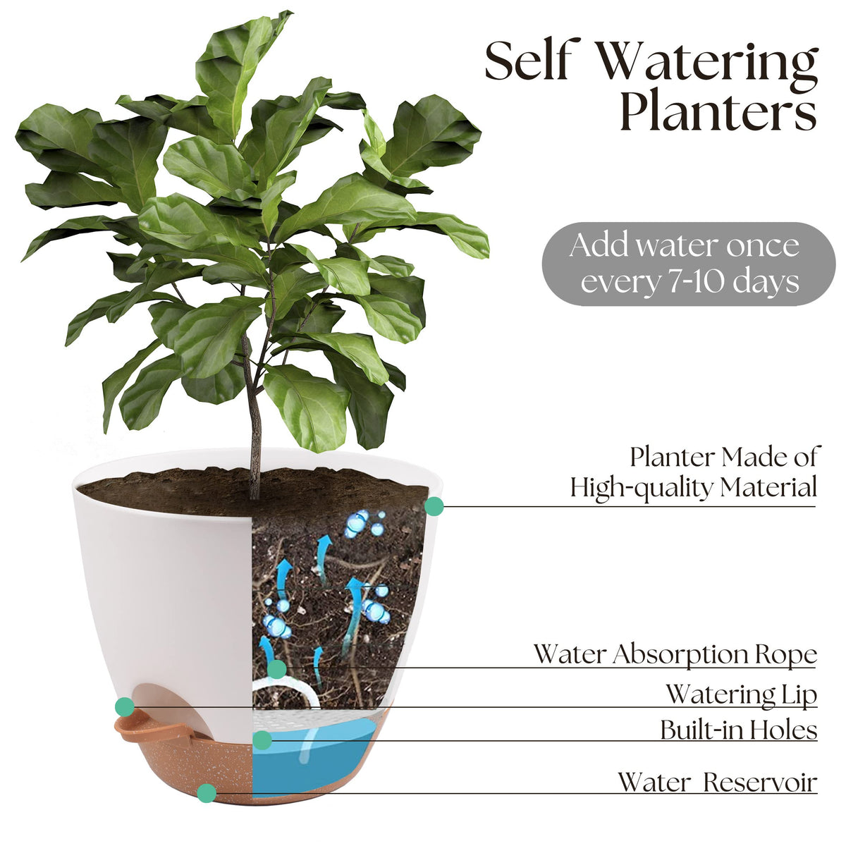 TYMENSH pots with drainage holes promote root airflow.