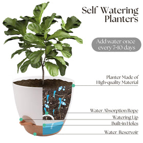 TYMENSH pots with drainage holes promote root airflow.