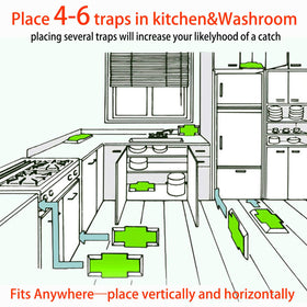 Traps placed in dark corners allow cockroaches to enter Tysonir traps.
