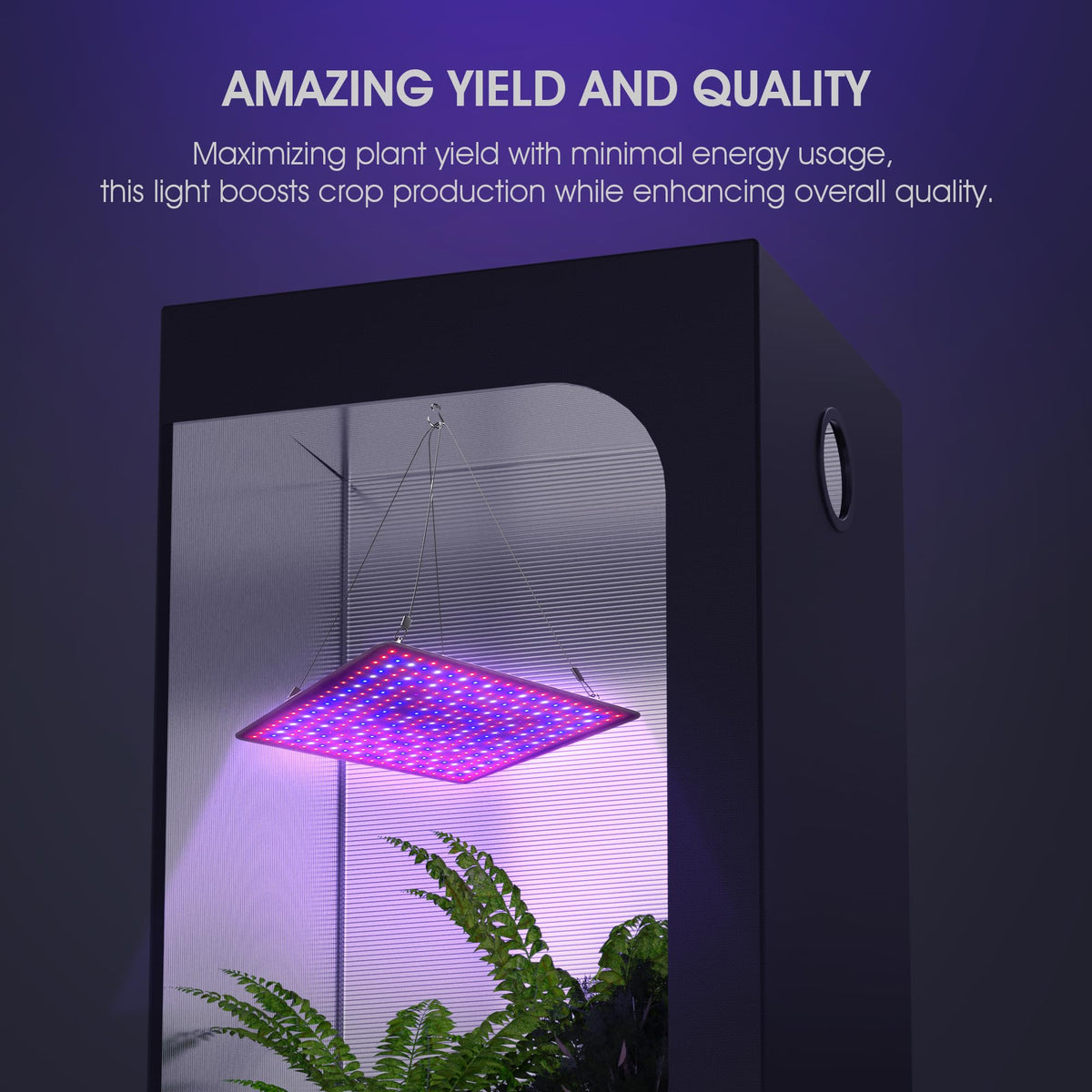 Uallhome digital timer function enabling automated daily lighting.
