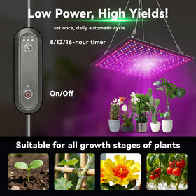 Uallhome LED grow light panel in grow tent setup for year-round indoor growth.