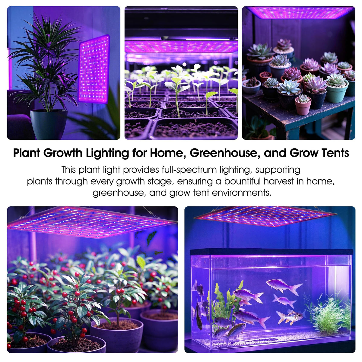 Uallhome PPFD high-performance panel delivers strong light output.