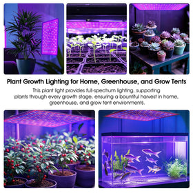 Uallhome PPFD high-performance panel delivers strong light output.