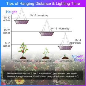 Uallhome UV-A LEDs close-up for extended spectrum in plant lighting.
