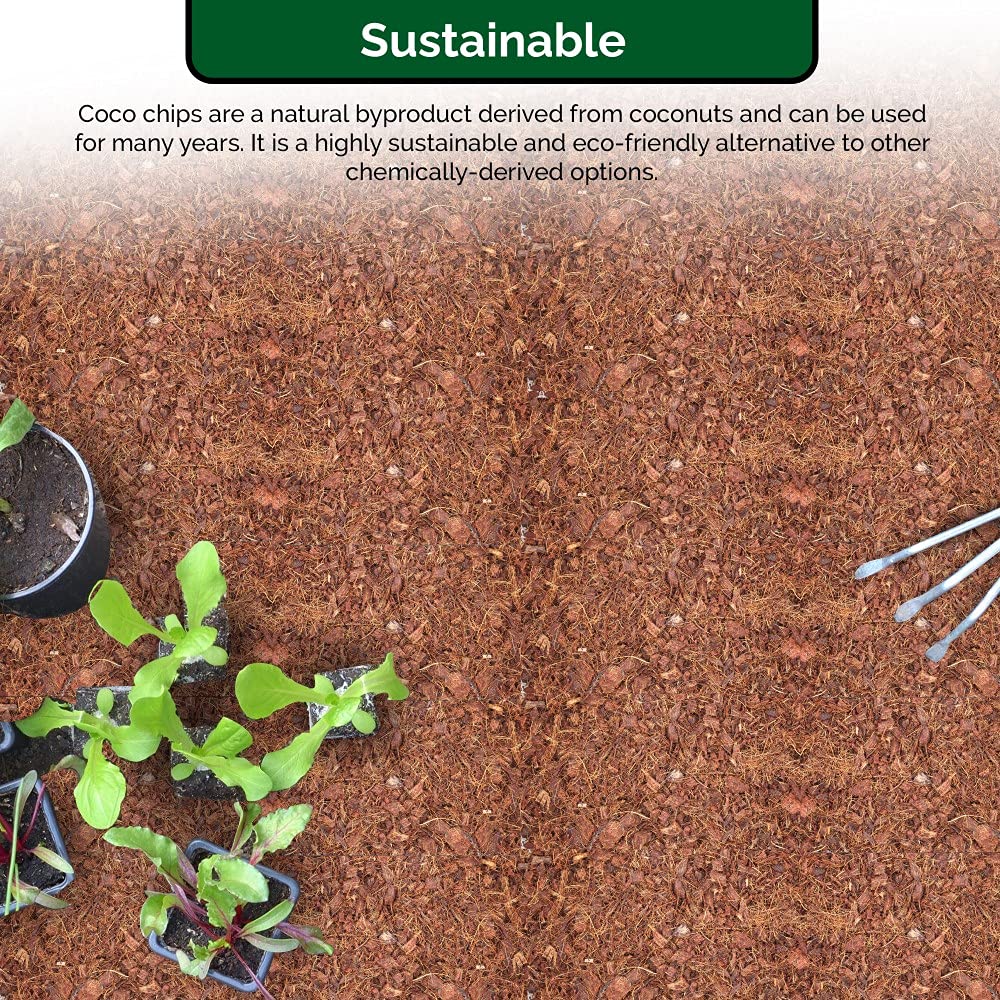 UBICON Easy Use Coco Coir aerated soil texture in pot supporting healthy roots