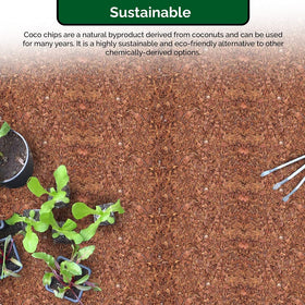 UBICON Easy Use Coco Coir aerated soil texture in pot supporting healthy roots