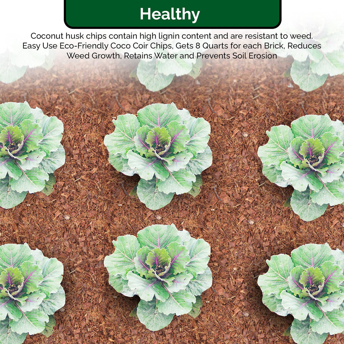 UBICON Organic topsoil with coco coir reduces weed growth in garden beds