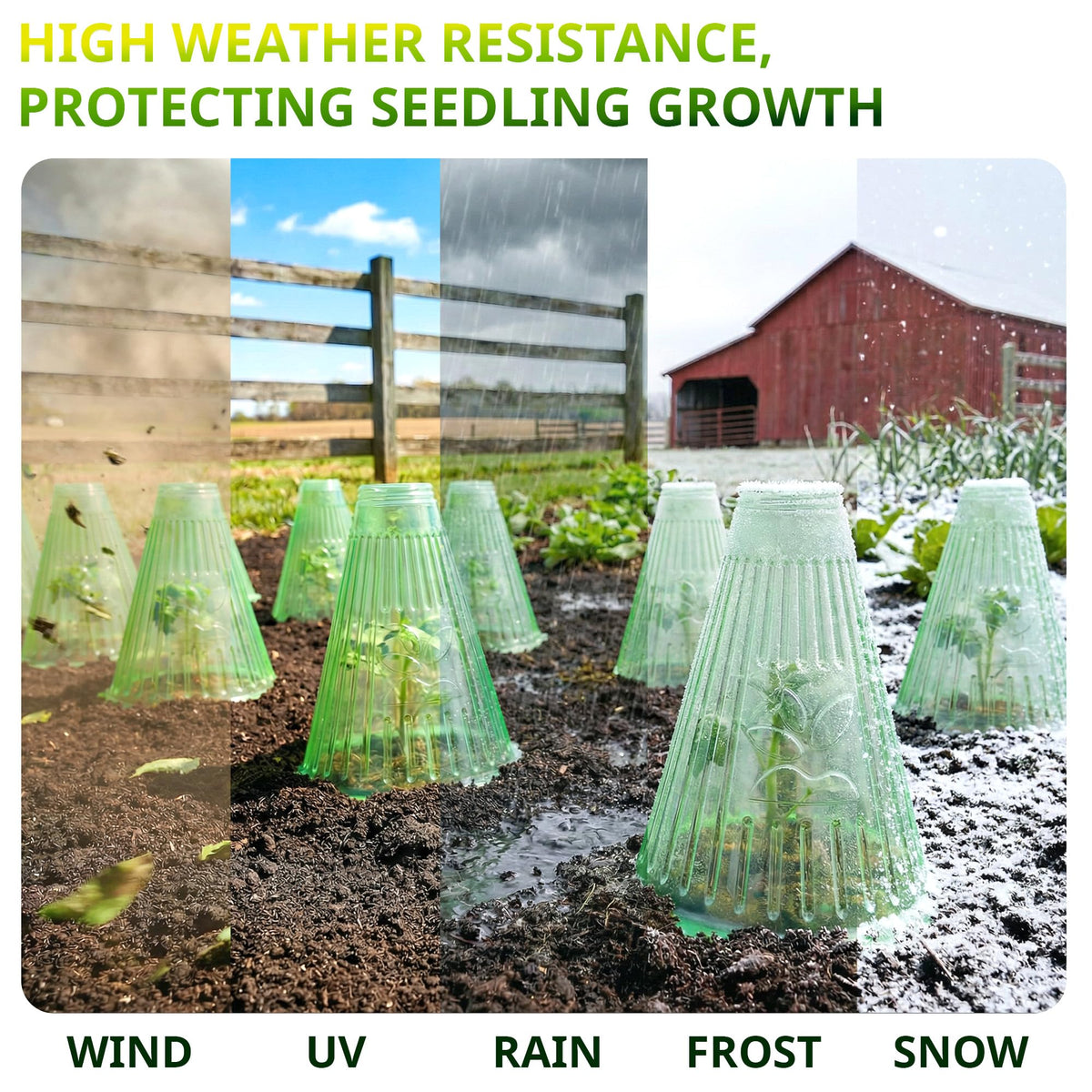 UCandy cloches install quickly with stakes