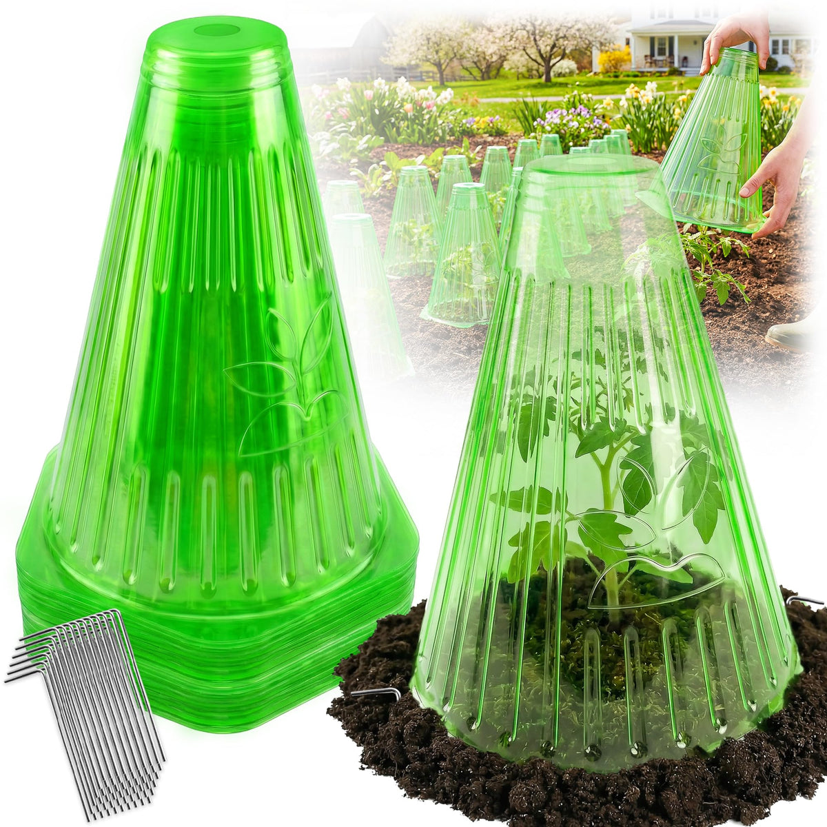 UCandy garden cloche 30-pack protecting seedlings in a garden bed