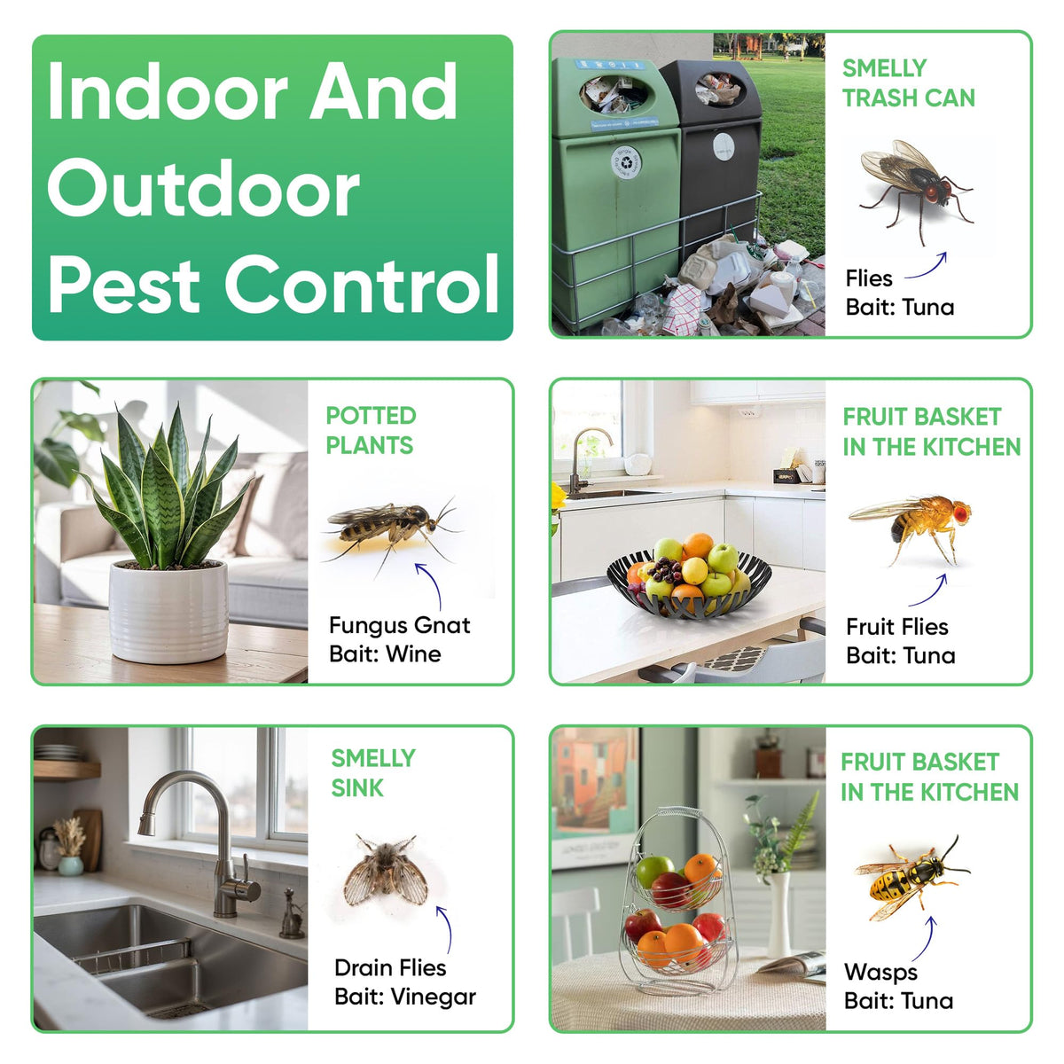 UCatch fly stick trap ideal for barns and gardens year-round use.