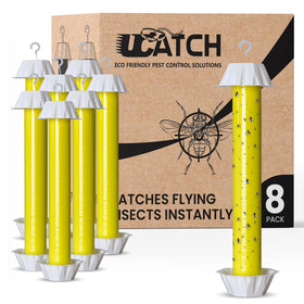 UCatch fly stick trap hanging indoors to reduce gnats and flies.