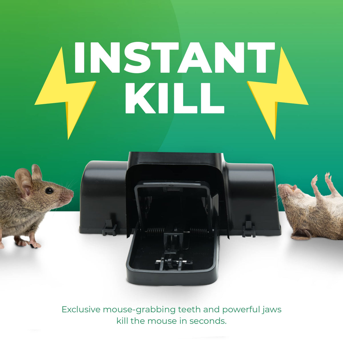 UCatch outdoor garden trap placed in hotspot for discreet pest control.