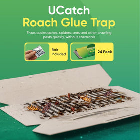 UCatch Roach Traps Indoor glue-trap closeup shows strong adhesive for effective capture