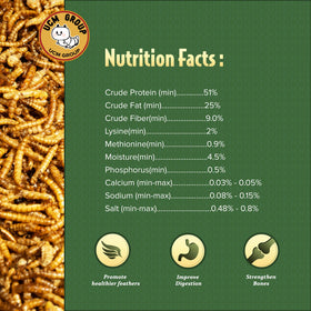 Ducks and turtles fed UCM Group mealworms for natural nutrition