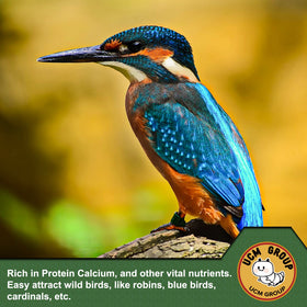 Dust-free, ingredient-packed form of UCM Group mealworms in packaging