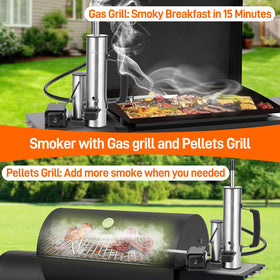 Ueiticsk 2026 Upgrade cold smoking cheese with precise temperature.