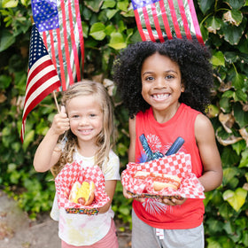 Uelfbaby flags for garden and office patriotic decor