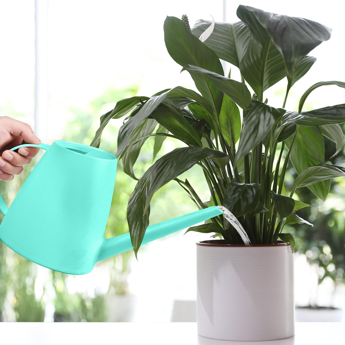 UFANME half-gallon turquoise watering can in-use scene for small pots