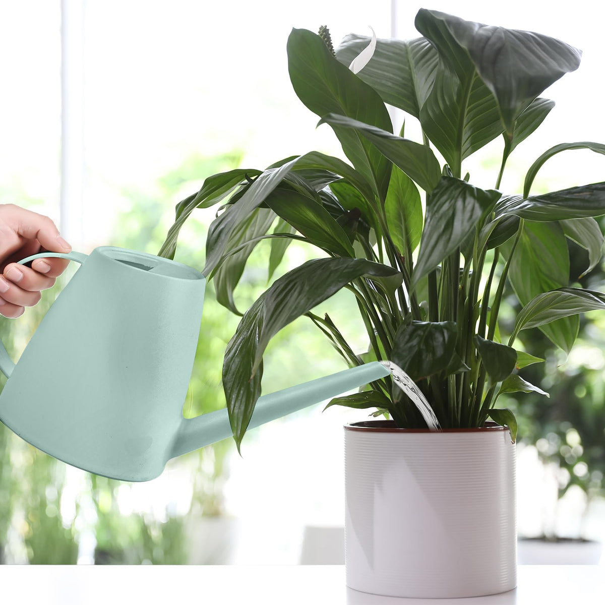 UFANME compact can for home office plant maintenance.