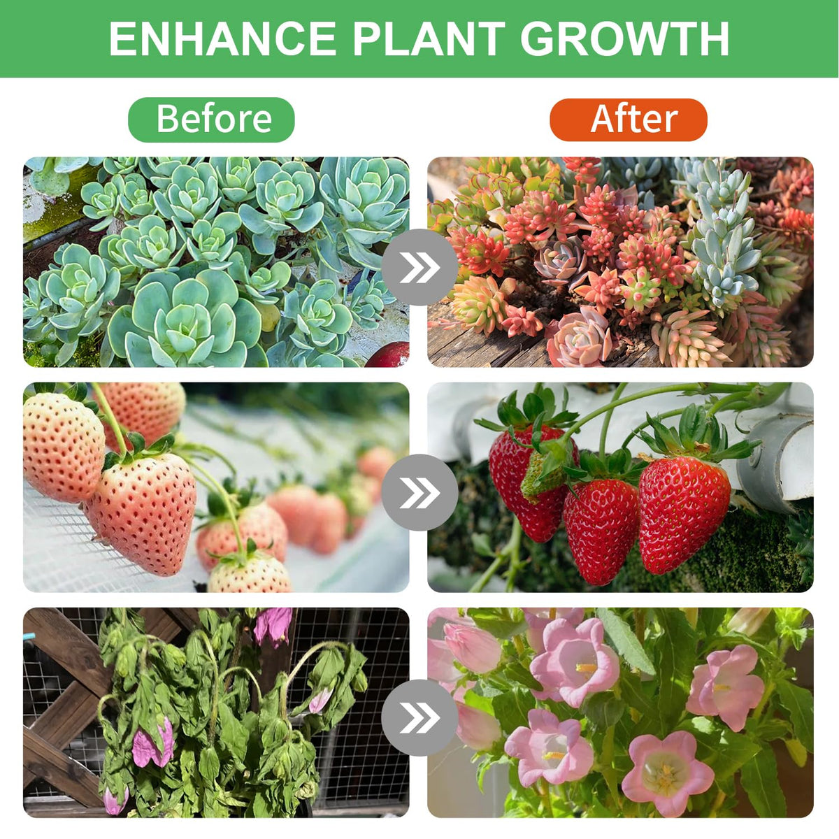Ufelizor grow light timer options optimize daily lighting