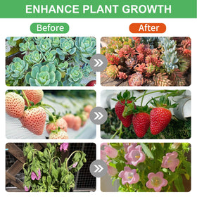 Ufelizor grow light timer options optimize daily lighting