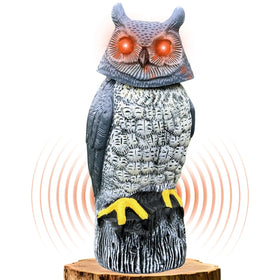 Ugold solar owl gradient eyes illuminate your garden at dusk