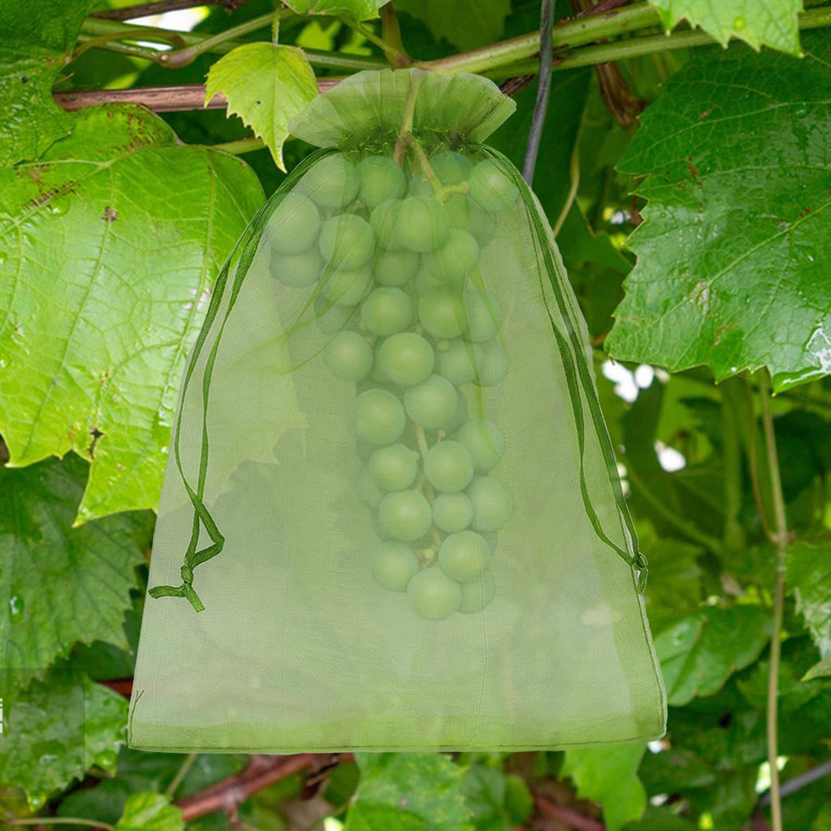 Uigidori 100-pack green bags for peaches, tomatoes, strawberries