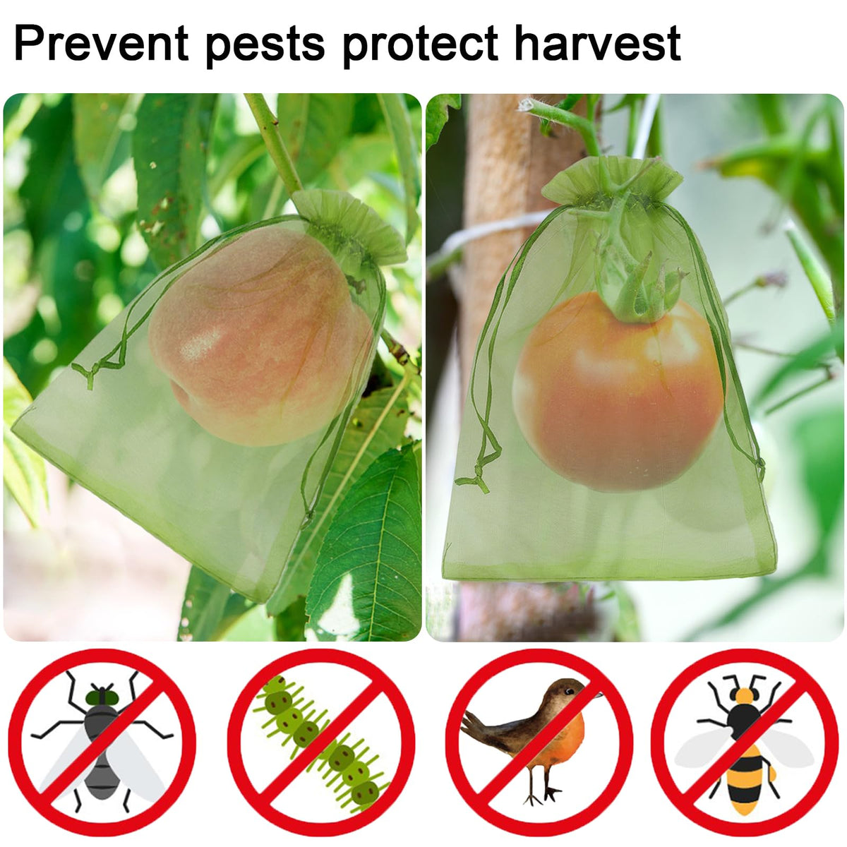 Uigidori breathable mesh design supports ripening while protecting against birds