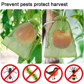 Uigidori breathable mesh design supports ripening while protecting against birds