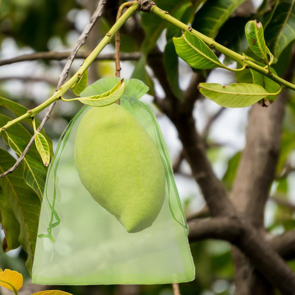 Uigidori durable polyester bags withstand outdoor use