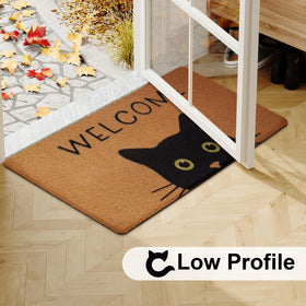 Front door setup with UINI mat welcomes guests while resisting dirt.