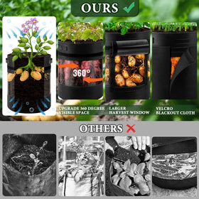 Two handles on UJG grow bag enable easy movement around a space.