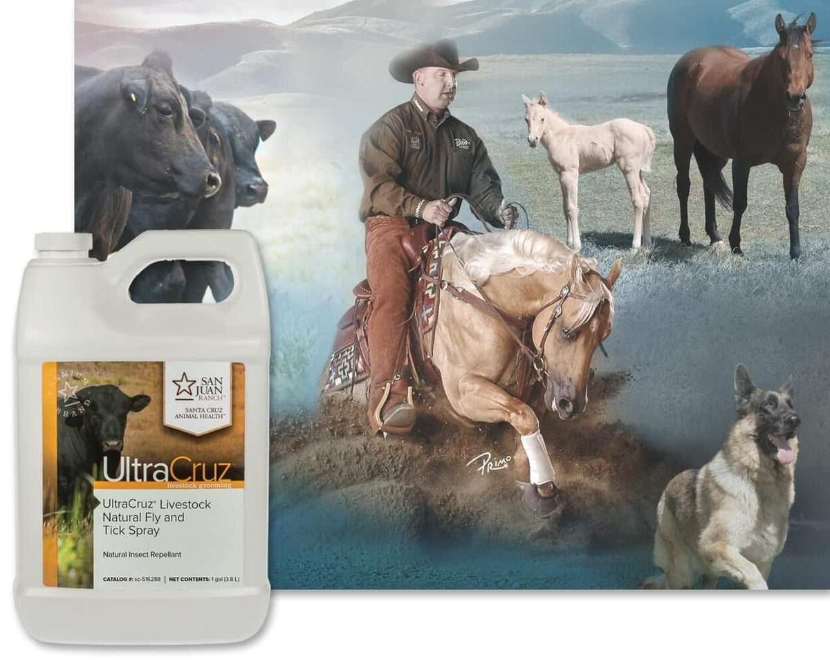 Spray being applied to livestock in the field for fly deterrence.