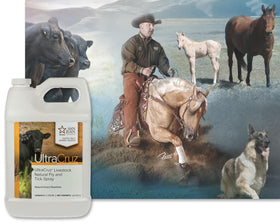 Spray being applied to livestock in the field for fly deterrence.