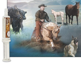UltraCruz probiotic paste label closeup shows ingredients and dosage clearly.