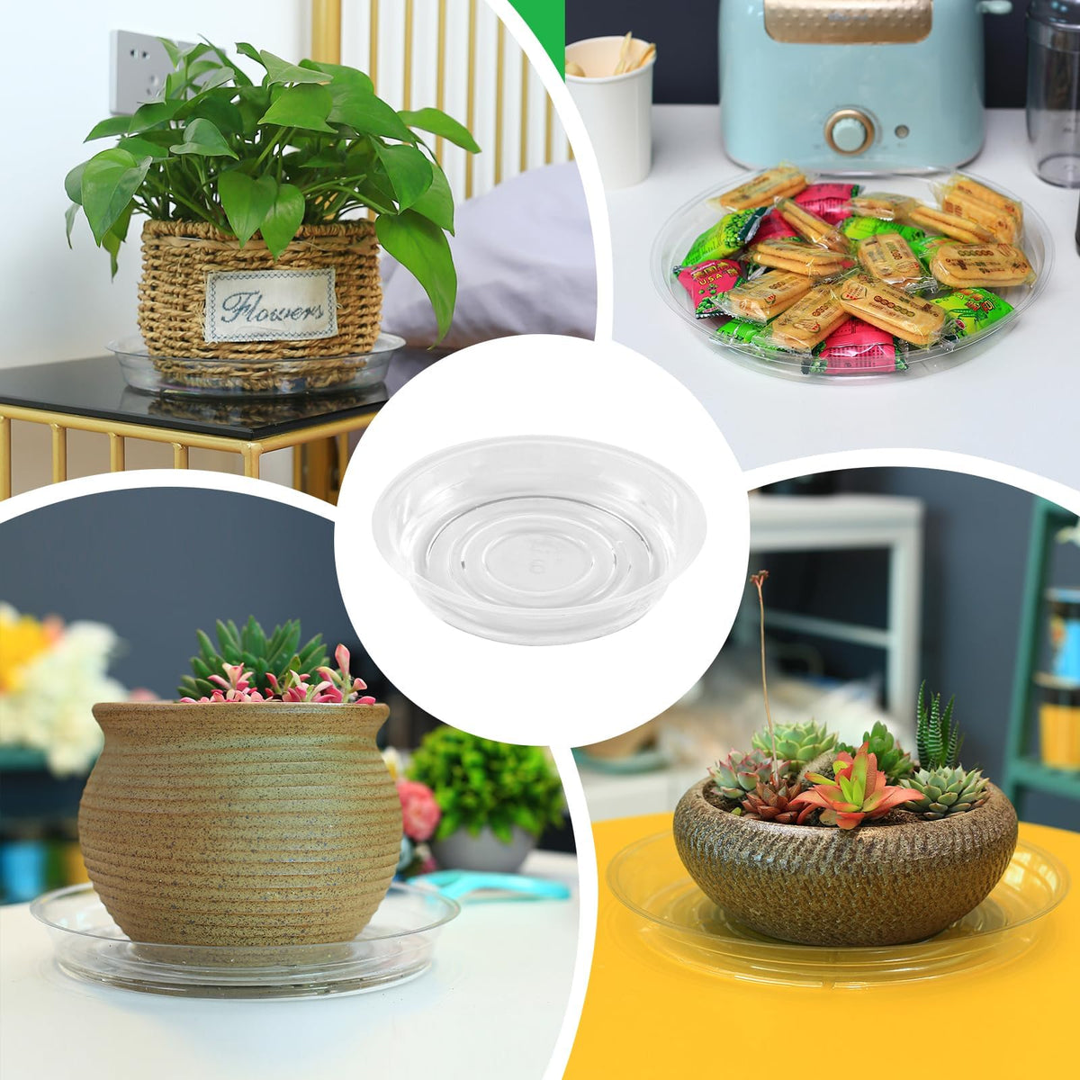 UltraOutlet 6-inch saucers add a simple decorative touch with stones.