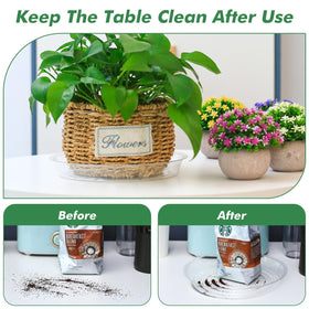 UltraOutlet clear 8-inch plant saucer blends with decor while hosting larger pots