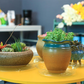 UltraOutlet clear plant saucer in use catches excess water during watering