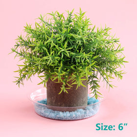UltraOutlet drip trays keep indoor pots tidy while protecting surfaces.