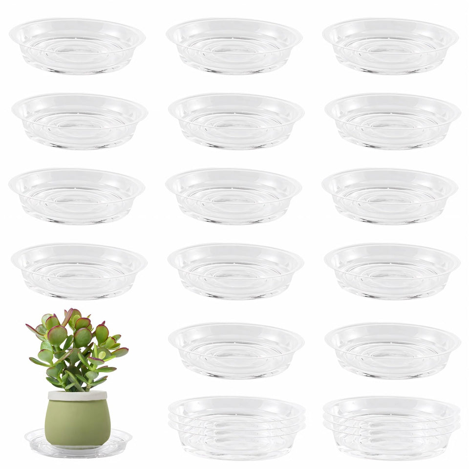 UltraOutlet 6-inch clear plastic plant saucers show water level for easy monitoring.