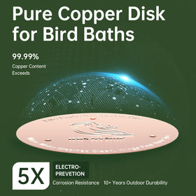 Outdoor bird bath setup with Ulycon disk for low maintenance