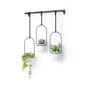Umbra Triflora hanging planter in a sunny window for fresh herbs.