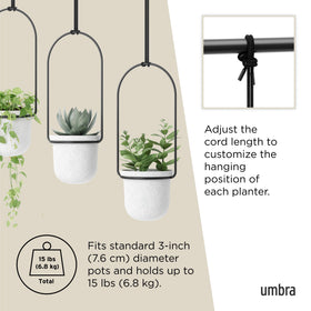 Umbra Triflora indoor herb garden setup in a compact space.