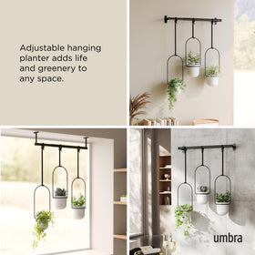 Umbra Triflora fits standard 3-inch pots for easy setup.