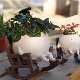 UMESONG Gift-ready smile planter ideal for desks, shelves, and gifting.