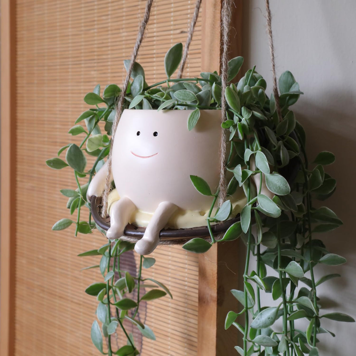 UMESONG hanging planter showcases a friendly face for compact spaces.