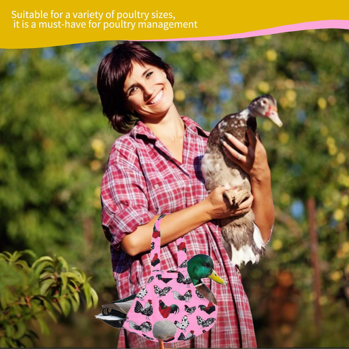 Umisun chicken bag easy to clean, reusable material.