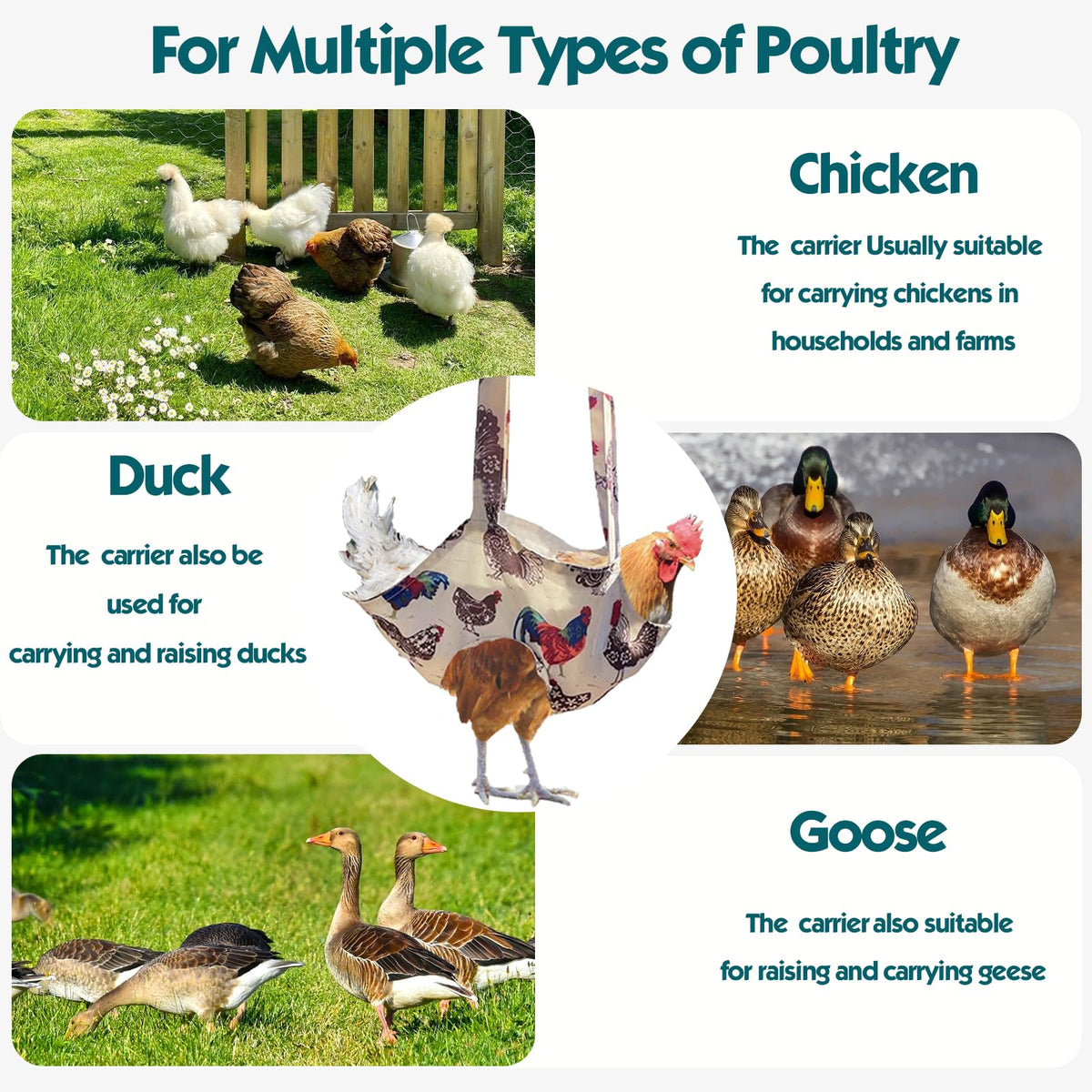 Ideal for farms and homes needing efficient poultry handling with Umisun.